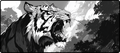 Tora